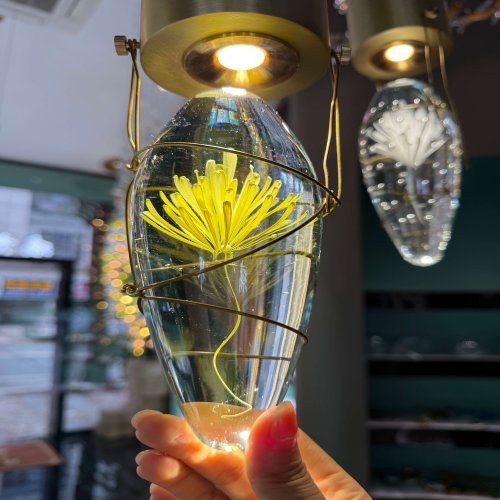 2025_07_14_18_33_IMG_1760_副本